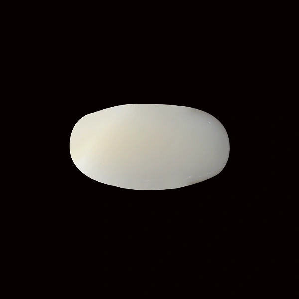 White Coral - 5.52 carats
